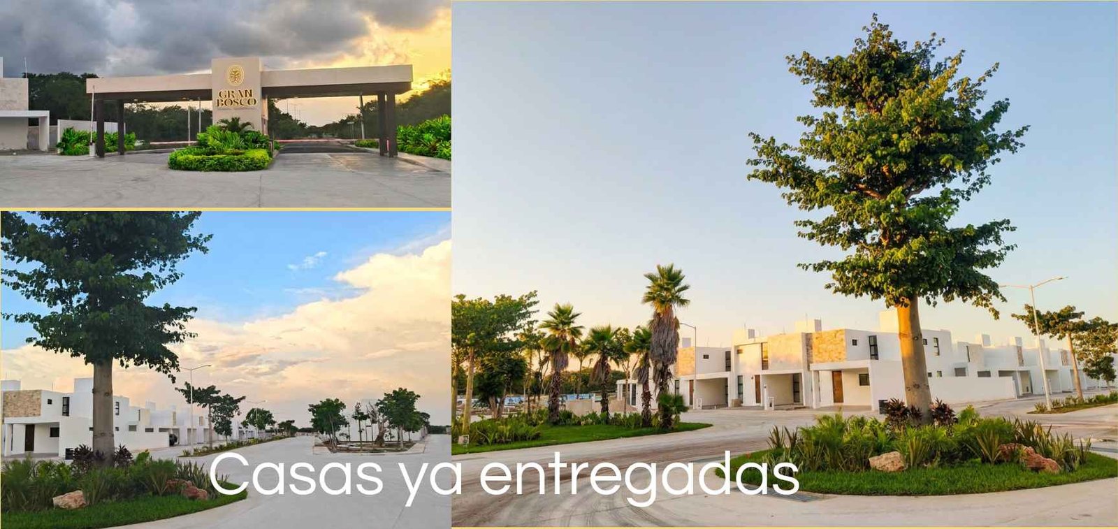 Casa Gran Bosco 1er etapa y caseta desde interior de privada